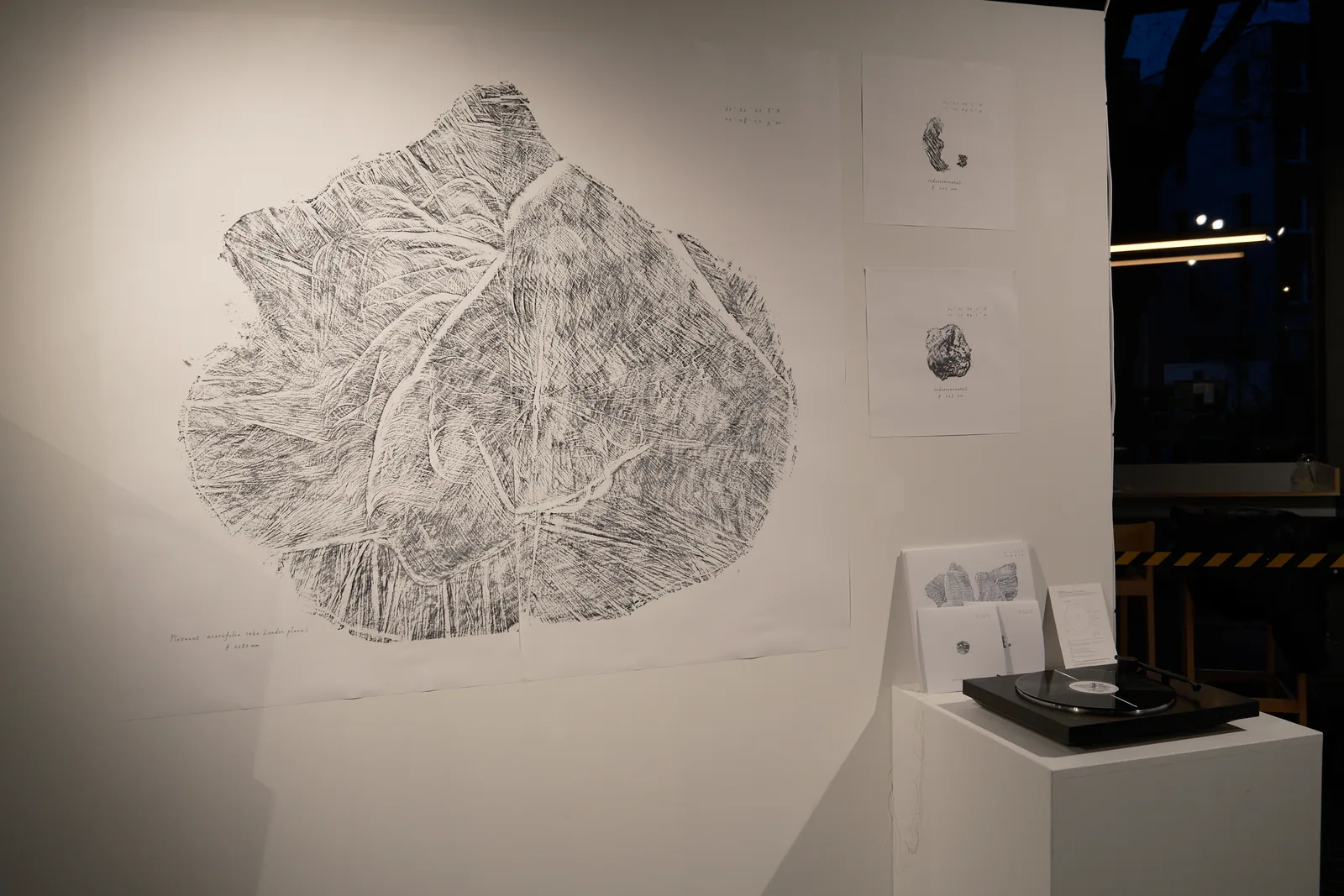 Drawing and sound installation at Fieldworks